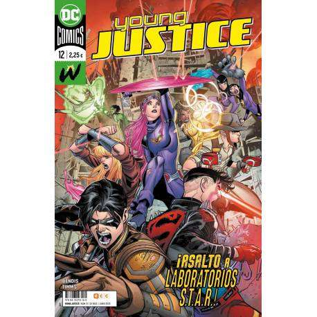 Young Justice 12