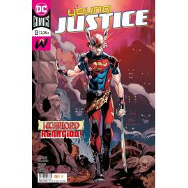 Young Justice 13