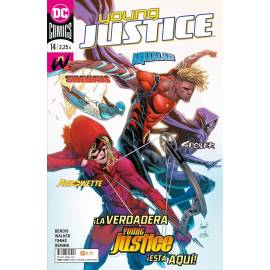 Young Justice 14