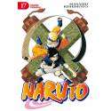 Naruto 17