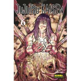 Jujutsu Kaisen 6