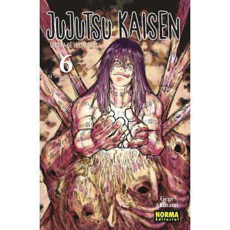 Jujutsu Kaisen 6