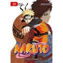Naruto 29