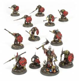 Caja de Inicio Warhammer Age of Sigmar: Guerrero