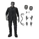Figura Ultimate Frankenstein's Moster - Neca 18 cm