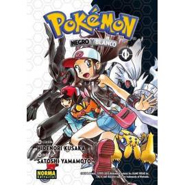 Pokémon Negro Y Blanco 1