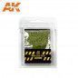 Hojas de Abedul Verdes - Birch Light Green Leaves - AK Interactive