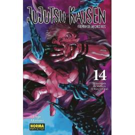 Jujutsu Kaisen 14