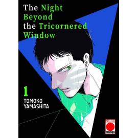 The Night Beyond The Tricornered Window 1