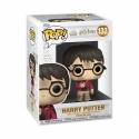 Funko Pop! -  Harry Potter con La Piedra Figura 10cm