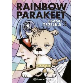Rainbow Parakeet 3