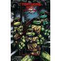 Las Tortugas Ninja: La Serie Original Vol. 6 de 7