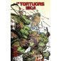 Las Tortugas Ninja Vol. 10