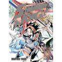 Shaman King 12