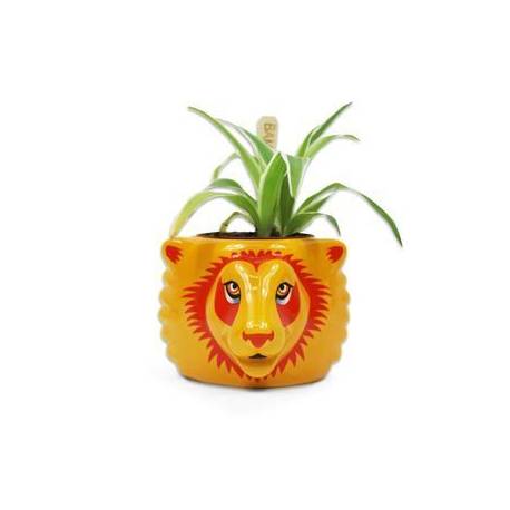 Macetero 3D Gryffindor - Harry Potter Macetero 3D Gryffindor - Harry Potter