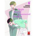 The Night Beyond The Tricornered Window 6
