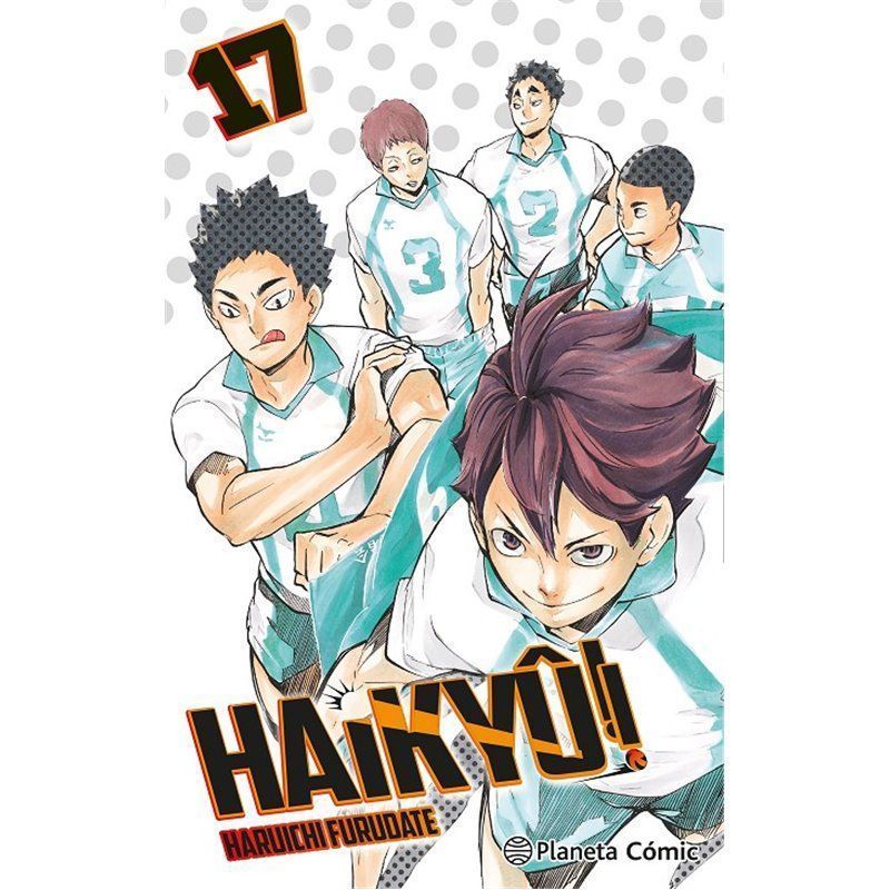 Haikyû!! 17