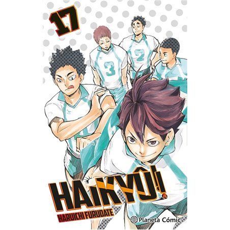 Haikyû!! 17