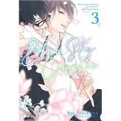 Blue Sky Complex 3