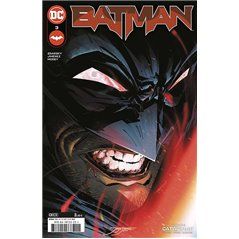 Batman 3 (133)