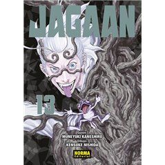 Jagaan 13