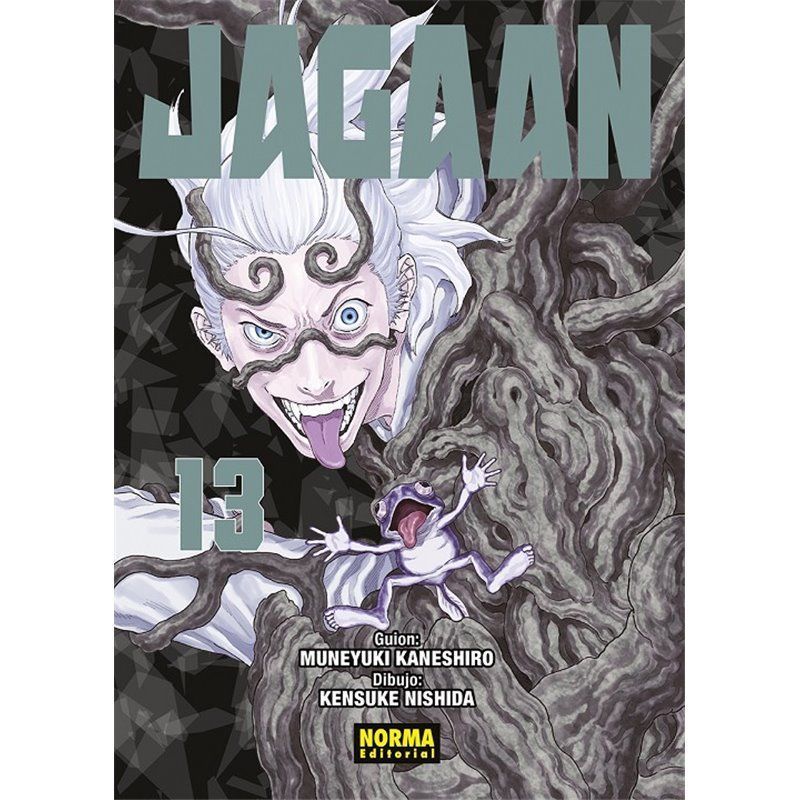 Jagaan 13