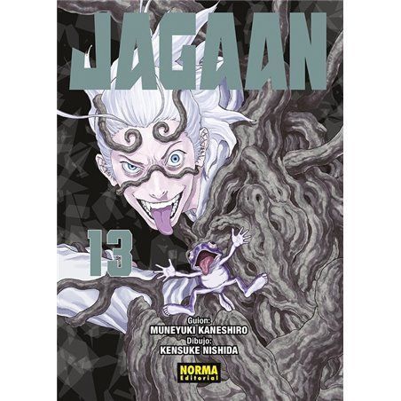Jagaan 13