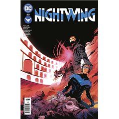 Nightwing 22
