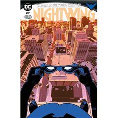 Nightwing 29