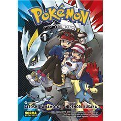 Pokémon Negro Y Blanco II 1