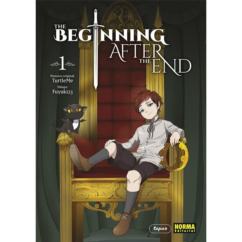 The Beginning After the End 1 The Beginning After the End 1