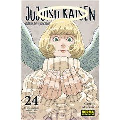 Jujutsu Kaisen 24