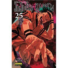 Jujutsu Kaisen 25