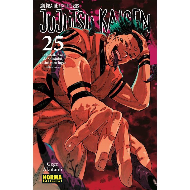 Jujutsu Kaisen 25 Jujutsu Kaisen 25