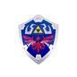 Escudo Hyliano - The Legend Zelda Escudo Hyliano - The Legend Zelda