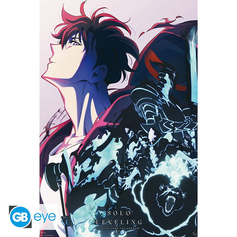 Maxi Poster Solo Leveling Maxi Poster Solo Leveling
