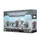 Exterminadores de la Guardia del Lobo Lobos Espaciales - Space Wolves