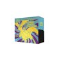 Pokemon Megaevolución - Héroes Ascendentes - Caja de Entrenador Élite Dragonite Castellano