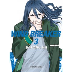 Wind Breaker 3