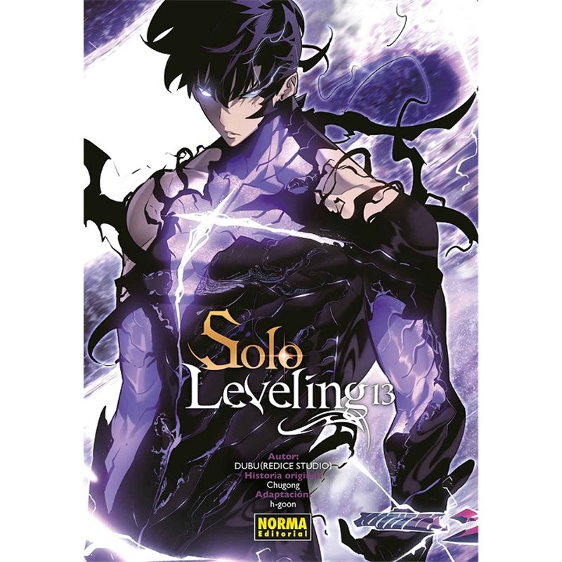 Solo Leveling 13 Solo Leveling 13