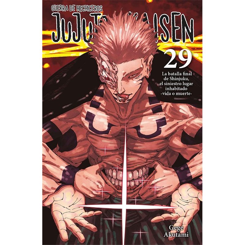 Jujutsu Kaisen 29 Jujutsu Kaisen 29