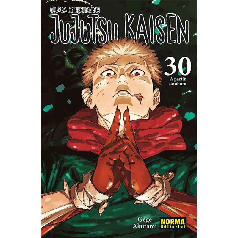 Jujutsu Kaisen 30 Jujutsu Kaisen 30