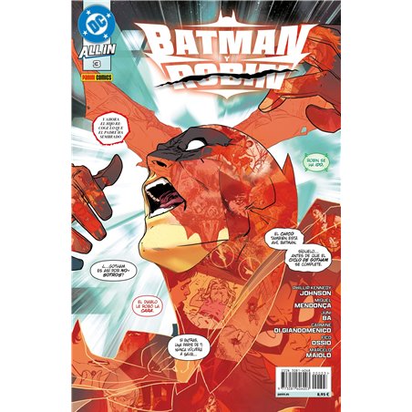 All In Batman y Robin 3