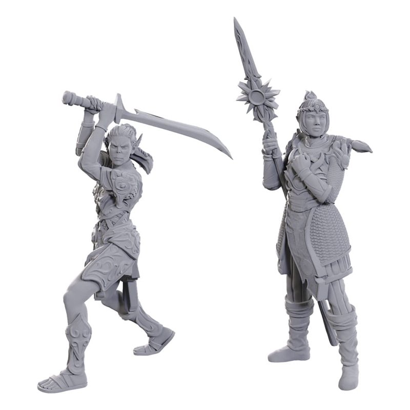 Lae'zel & Shadowheart - Miniatura Dungeons and Dragons D&D Baldur's Gate Lae'zel & Shadowheart - Miniatura Dungeons and Dragons D&D Baldur's Gate