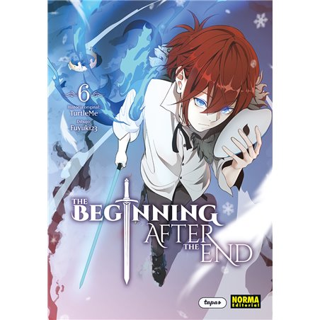 The Beginning After the End 6