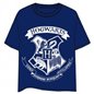 Camiseta Hogwarts - Harry Potter Camiseta Hogwarts - Harry Potter