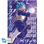 Maxi Poster Dragon Ball Super Vegeta