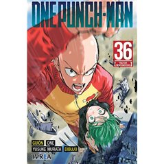 One Punch Man 36