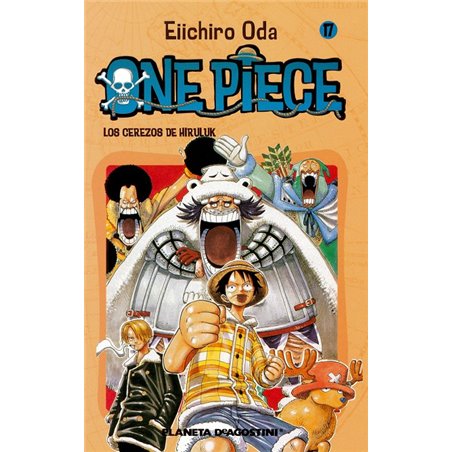 One Piece 17