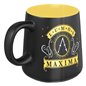 Taza Premium Lumos Maxima - Harry Potter